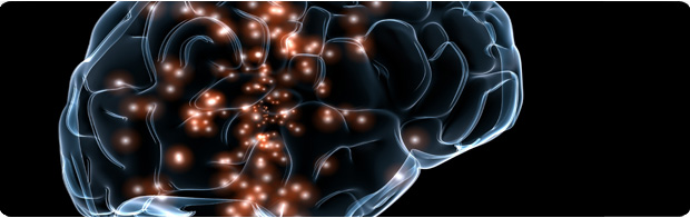Image of a brain